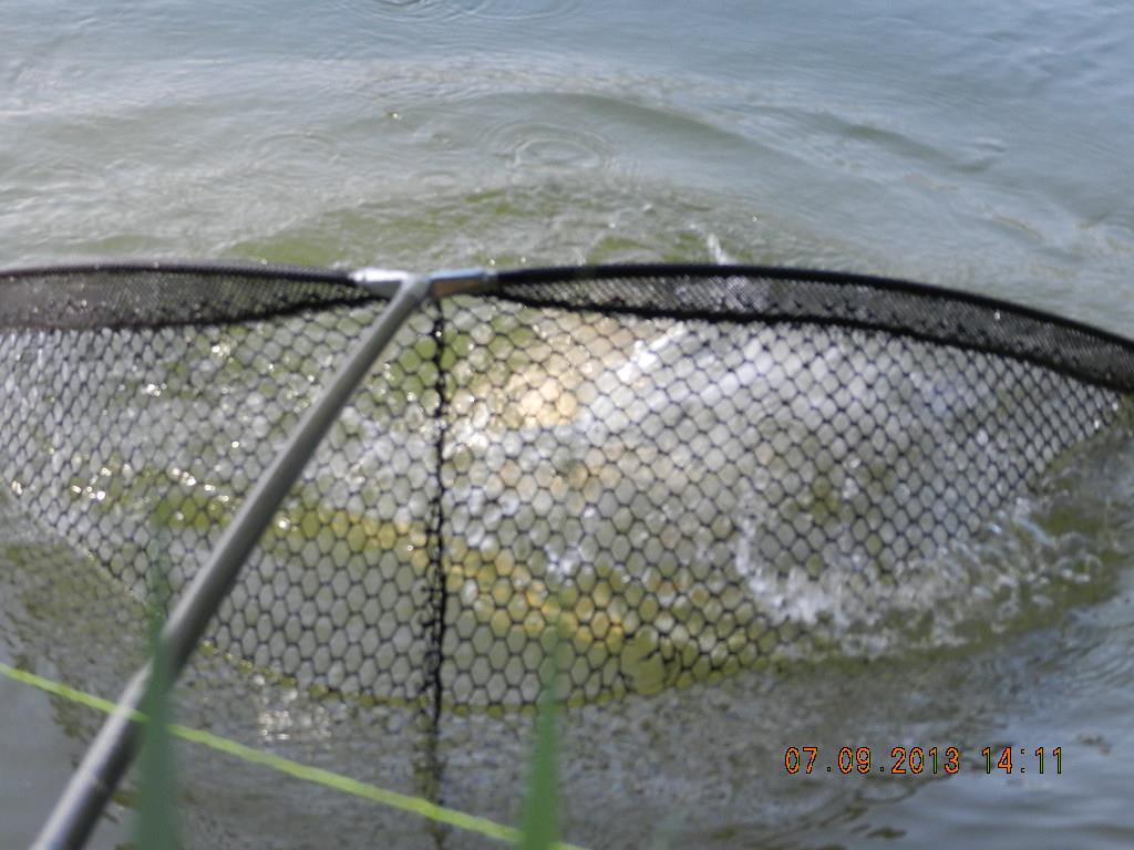 7-8  septembrie20013 - dscn1705.JPG